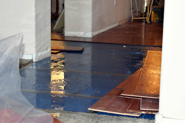 Professional Water Damage Restoration technician working in Welch, WV